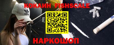 стафф Гатчина