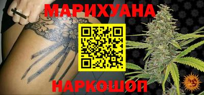 дмт Гай