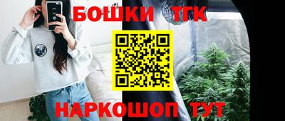 дмт Гай