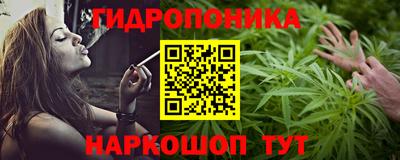 дмт Гай