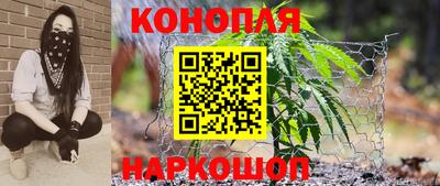 стафф Гатчина