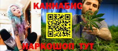 стафф Гатчина