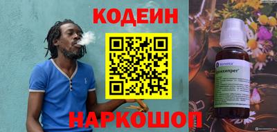стафф Гатчина