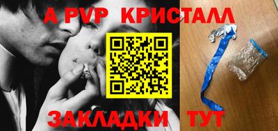 стафф Гатчина