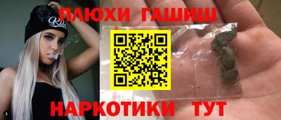 стафф Гатчина