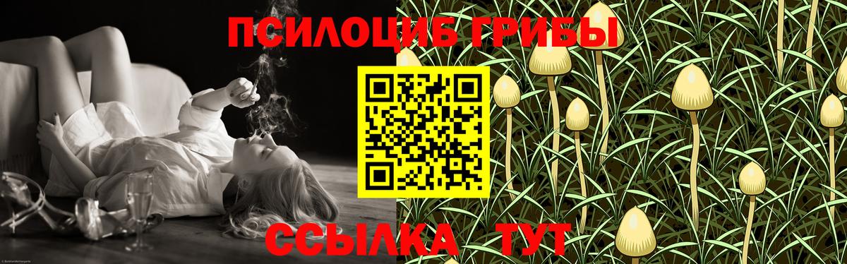 Галлюциногенные грибы Psilocybine cubensis  Вход с VPN  Гусиноозёрск  Псилоцибиновые грибы Psilocybine cubensis 