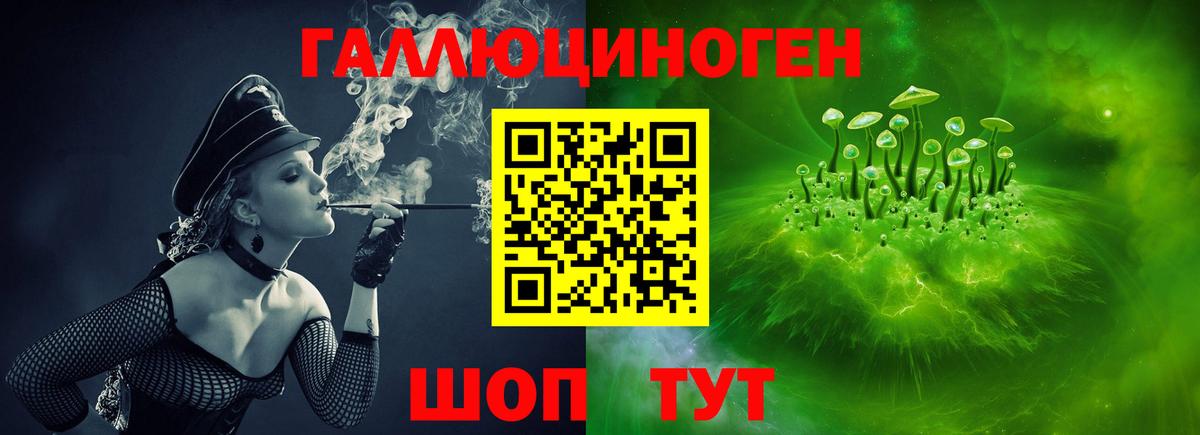 Галлюциногенные грибы GOLDEN TEACHER Гусиноозёрск