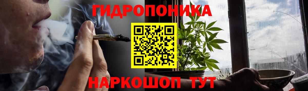 Марихуана семена Гусиноозёрск